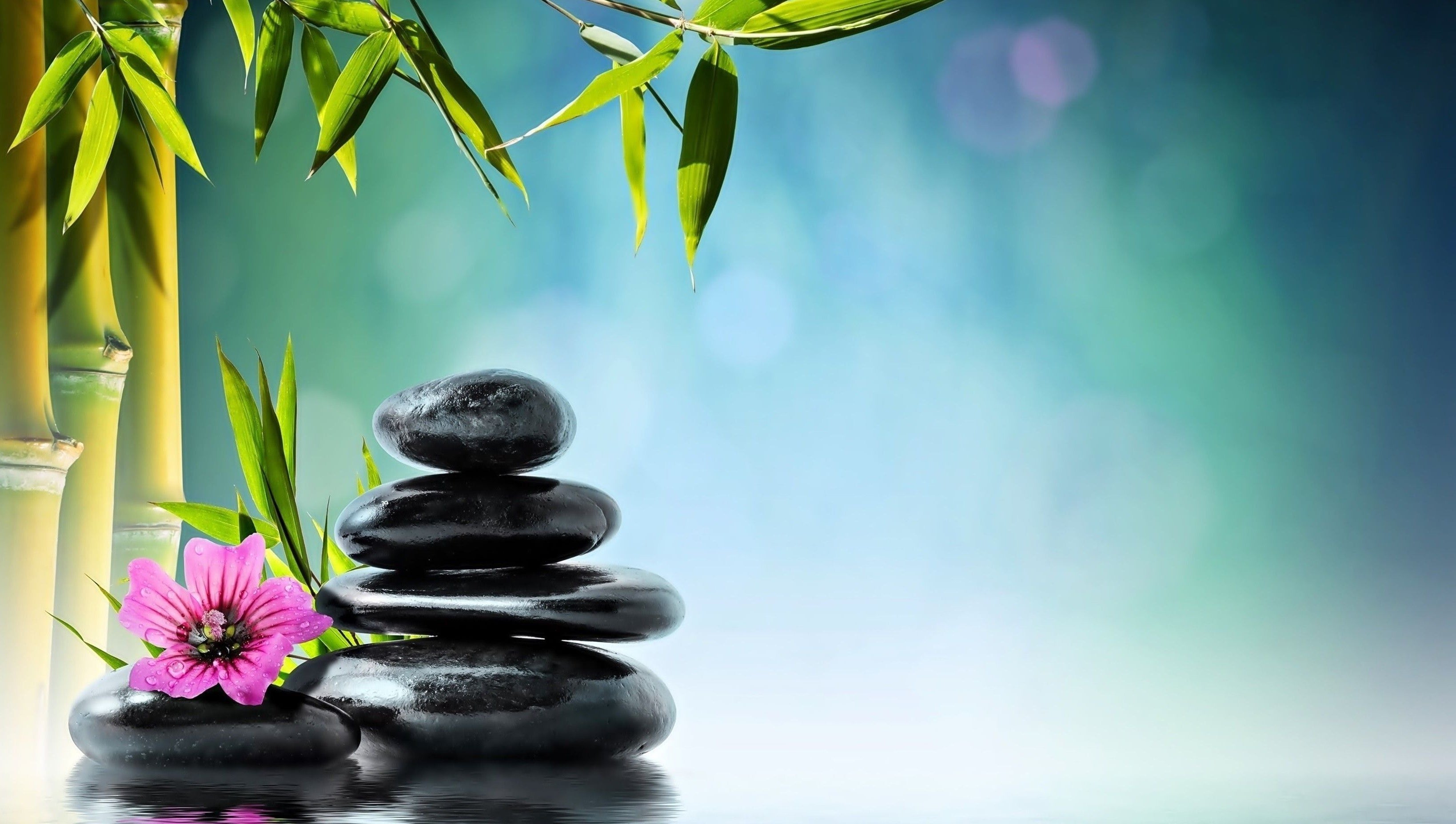 Bamboo, spa stones, and water